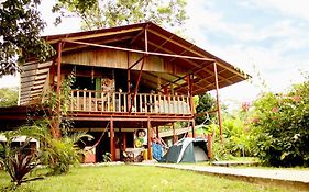 Hakuna Matata Hostel