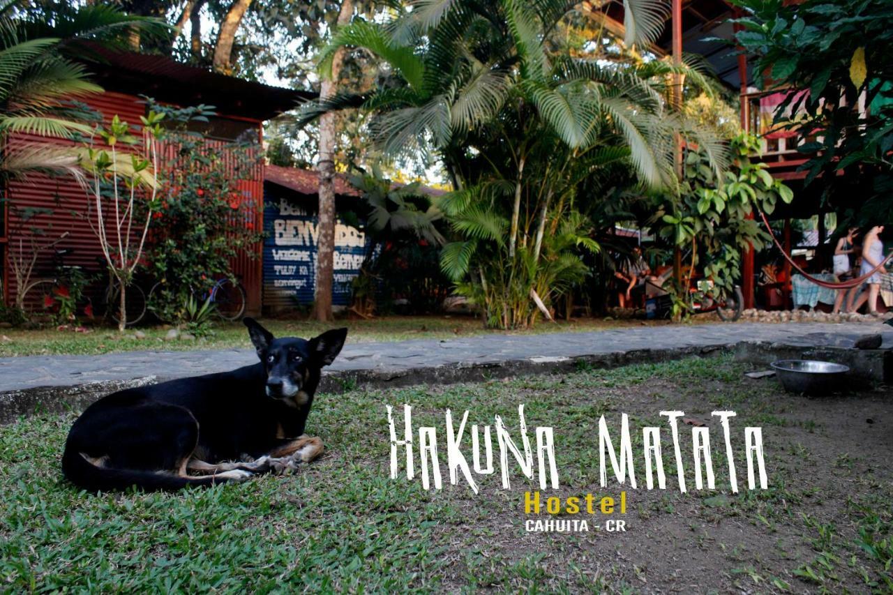 Hakuna Matata Hostel Cahuita Extérieur photo